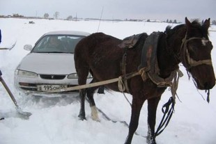 Что важнее «лошади» или крутящий момент? :: BMW 7 серия E38