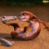 Intruder