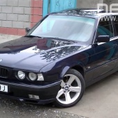 Tomaev
