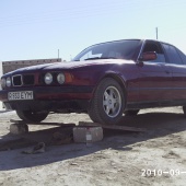 adaec
