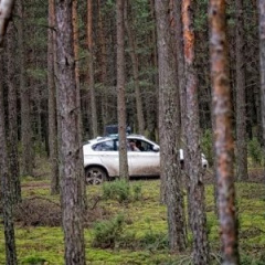 BMW X6. Охота на Волков.