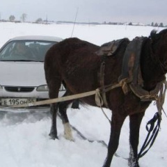 Что важнее «лошади» или крутящий момент?