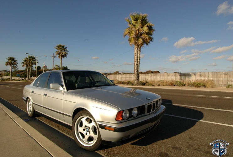 Как заказать уникальную курсовую работу по автомобильной промышленности BMW M серия Все BMW M