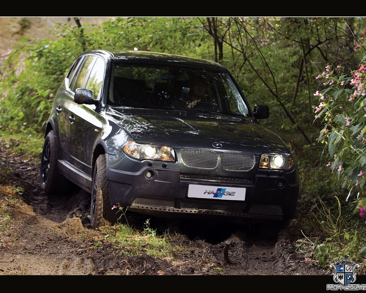 BMW X3 серия E83