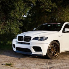 BMW X6 серия E71