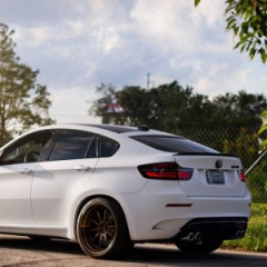 BMW X6 серия E71