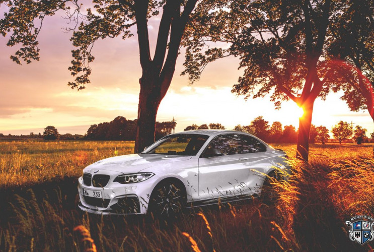 Как заказать уникальную курсовую работу по автомобильной промышленности BMW 2 серия F22-F23