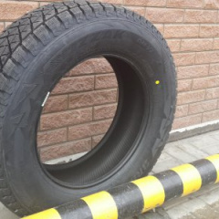 Bridgestone Blizzak DM-V2 - лучшая зимняя шина