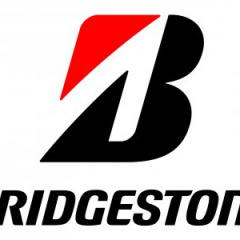 Bridgestone Blizzak DM-V2: ждем зиму