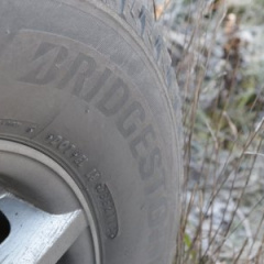 Bridgestone Blizzak DM-V2: ждем зиму