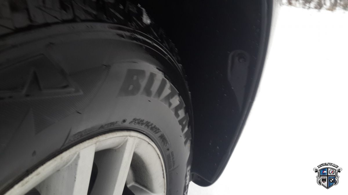Bridgestone Blizzak DM-V2: снежная стихия