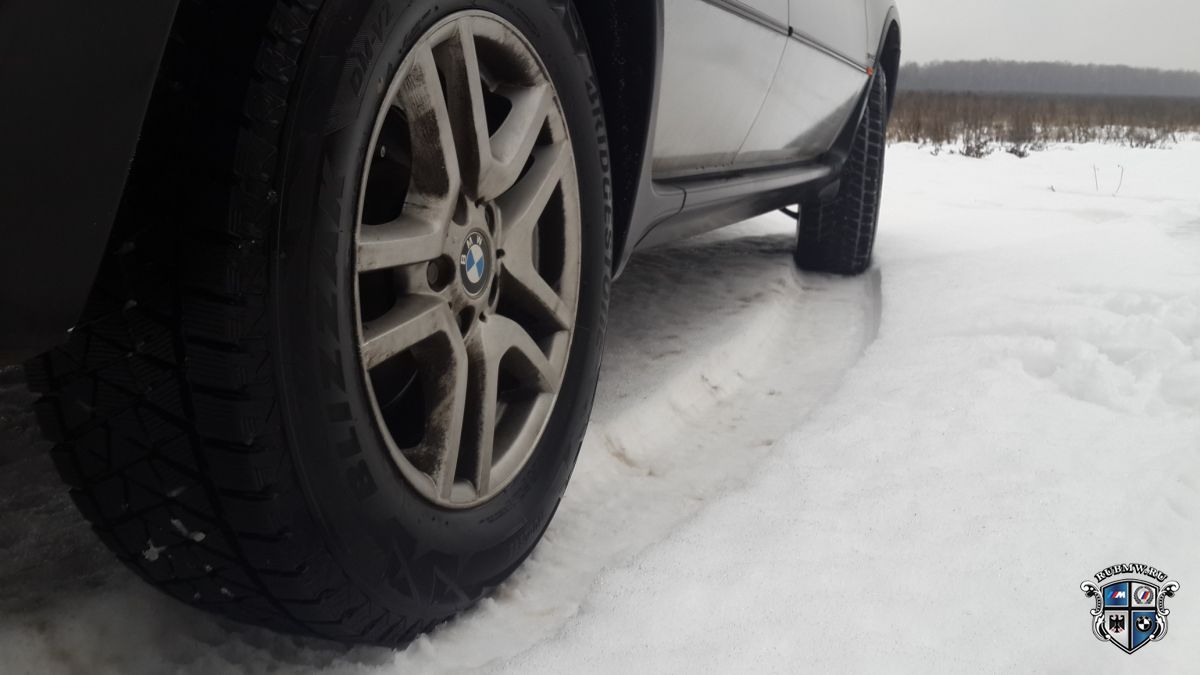 Bridgestone Blizzak DM-V2: снежная стихия