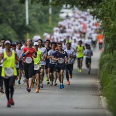 MINI и Red Bull организуют благотворительный забег Wings for Life World Run