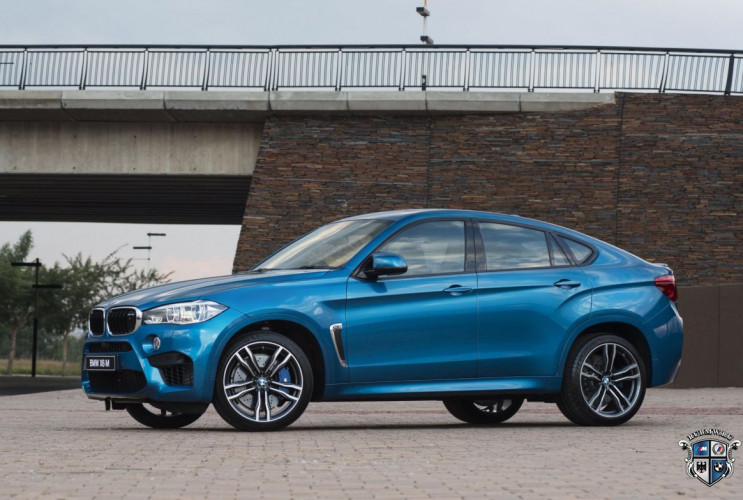 Как заказать уникальную курсовую работу по автомобильной промышленности BMW X6 серия F86
