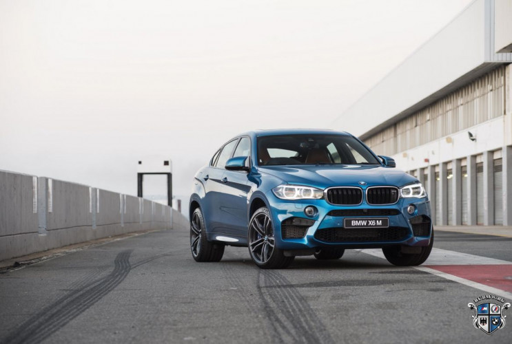 Как заказать уникальную курсовую работу по автомобильной промышленности BMW X6 серия F86