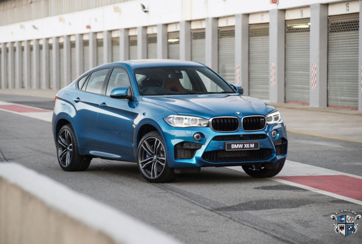 Как заказать уникальную курсовую работу по автомобильной промышленности BMW X6 серия F86