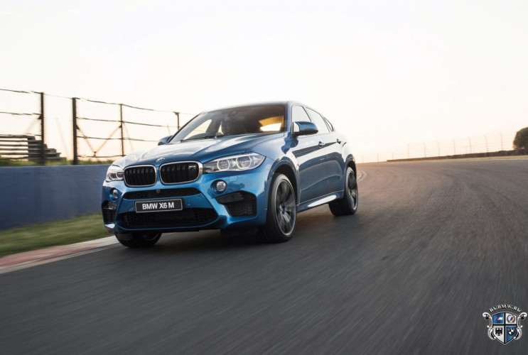 Как заказать уникальную курсовую работу по автомобильной промышленности BMW X6 серия F86