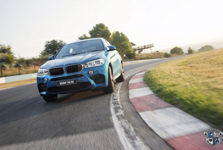 Как заказать уникальную курсовую работу по автомобильной промышленности BMW X6 серия F86