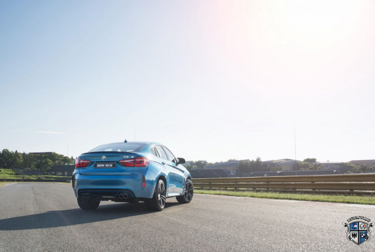 Как заказать уникальную курсовую работу по автомобильной промышленности BMW X6 серия F86