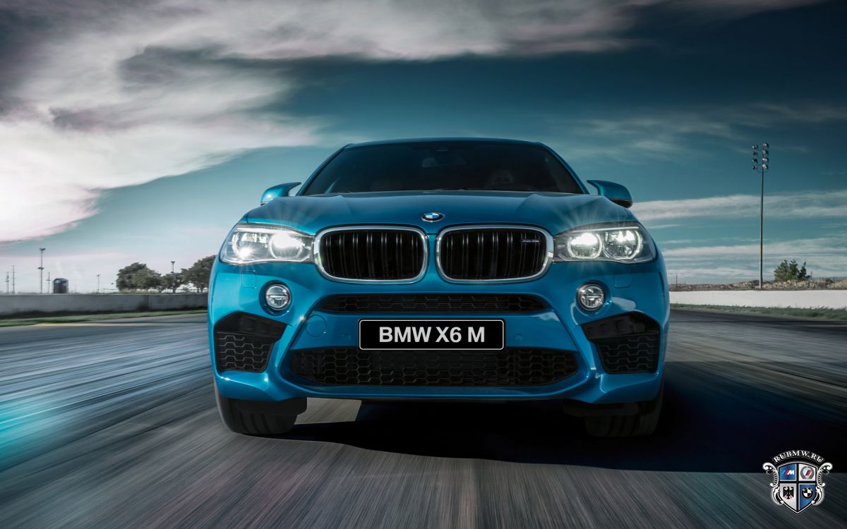 BMW X6 серия F86