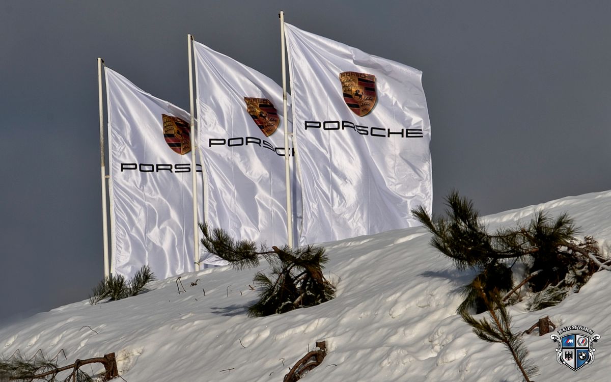Audi и Porsche разработают общую платформу для новых моделей