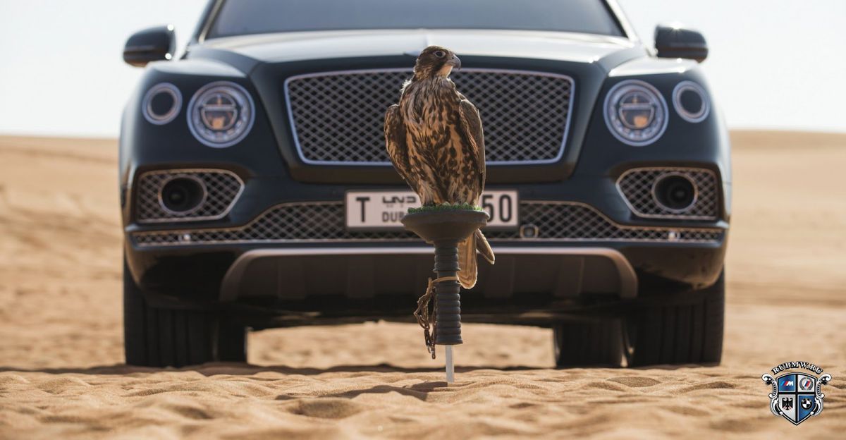 Ателье Mulliner презентовало Bentley Bentayga для любителей соколиной охоты