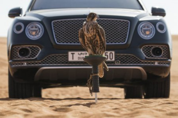 Ателье Mulliner презентовало Bentley Bentayga для любителей соколиной охоты BMW Другие марки Bentley