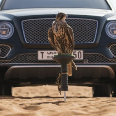 Ателье Mulliner презентовало Bentley Bentayga для любителей соколиной охоты